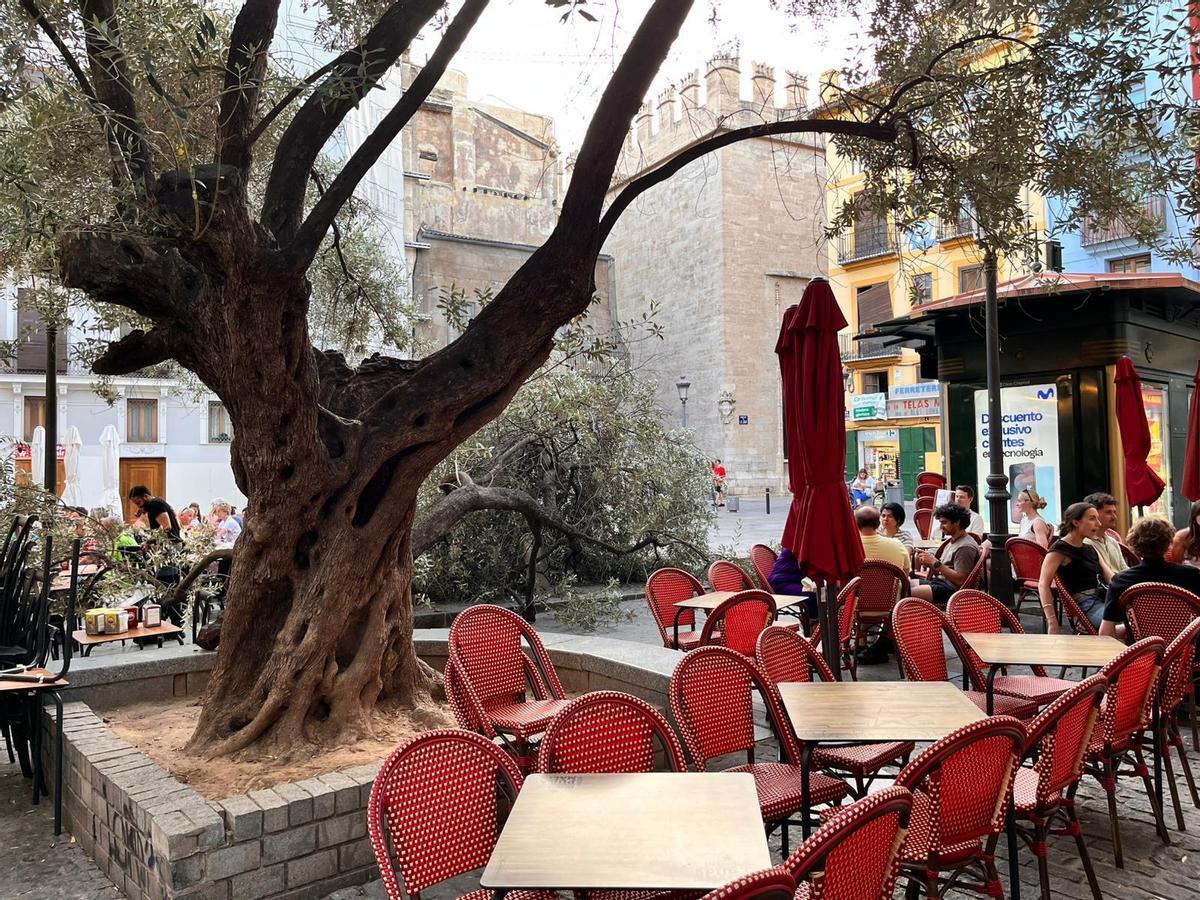 Vecinos y hosteleros de la plaza del Doctor Collado alertan del estado del primer olivo de València