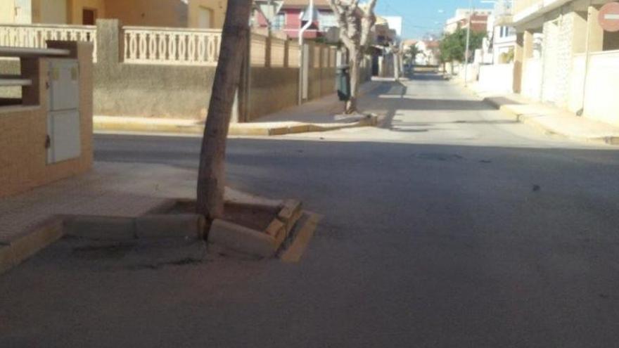 Proyecto para mejorar los alcorques en Torre de la Horadada