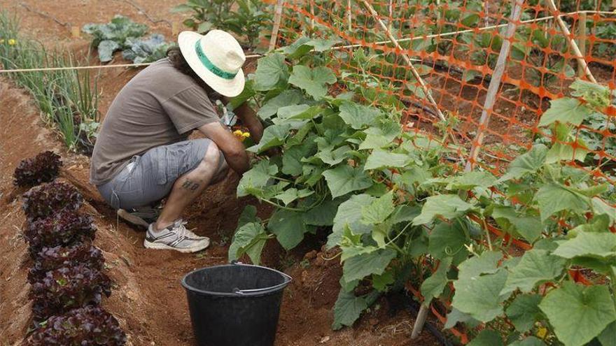 Más de 100 mayores pujan por una de las 48 parcelas del huerto urbano