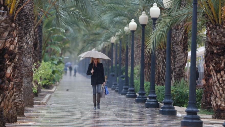 Alicante recoge en un día seis veces más de la lluvia prevista para todo el mes de marzo