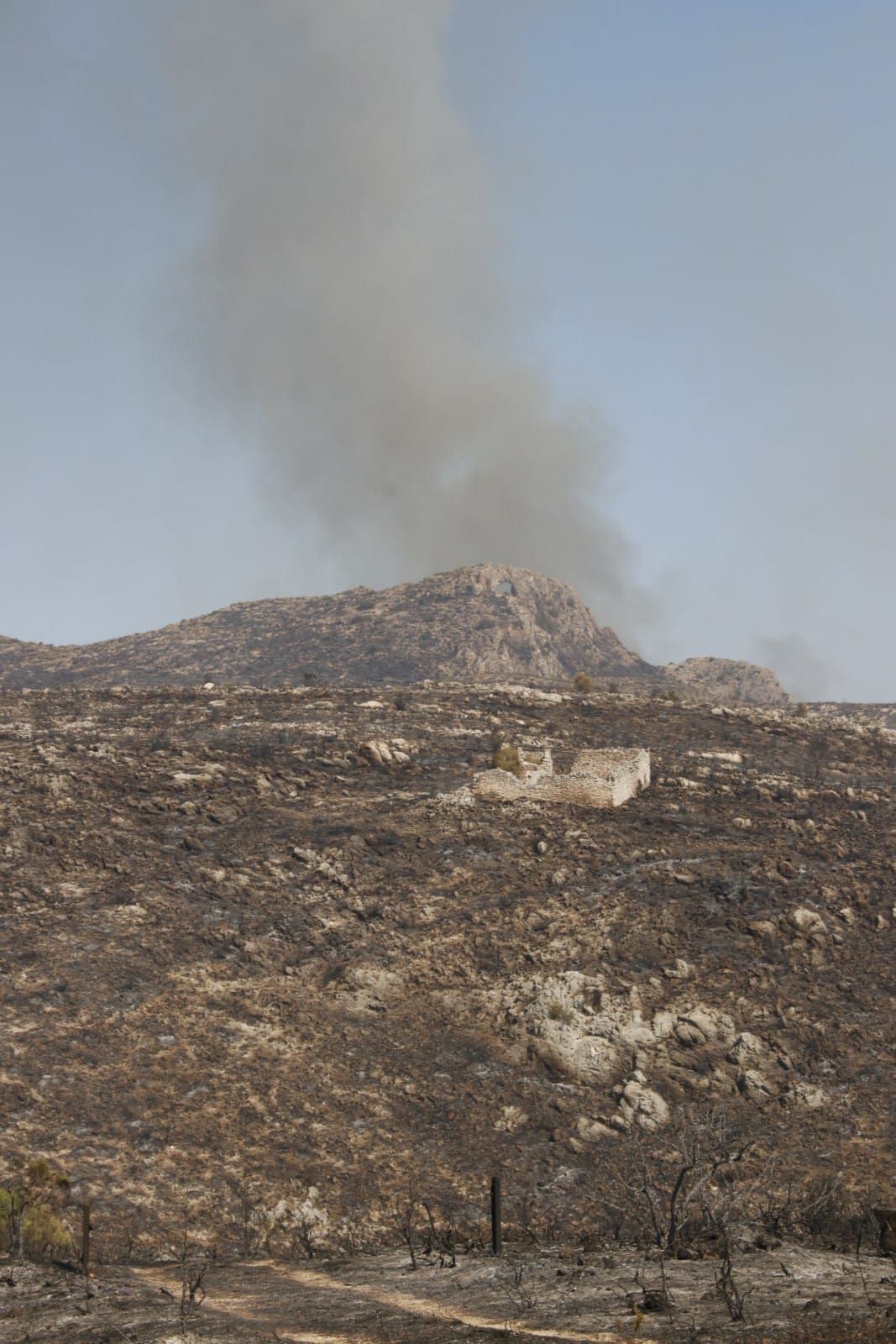 El incendio en la Vall d'Ebo calcina 2.200 hectáreas y se estudian desalojos