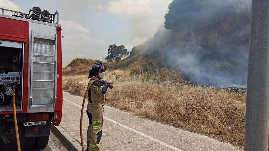 Los bomberos sofocan un incendio de pastos en la ladera de la alcazaba de Badajoz