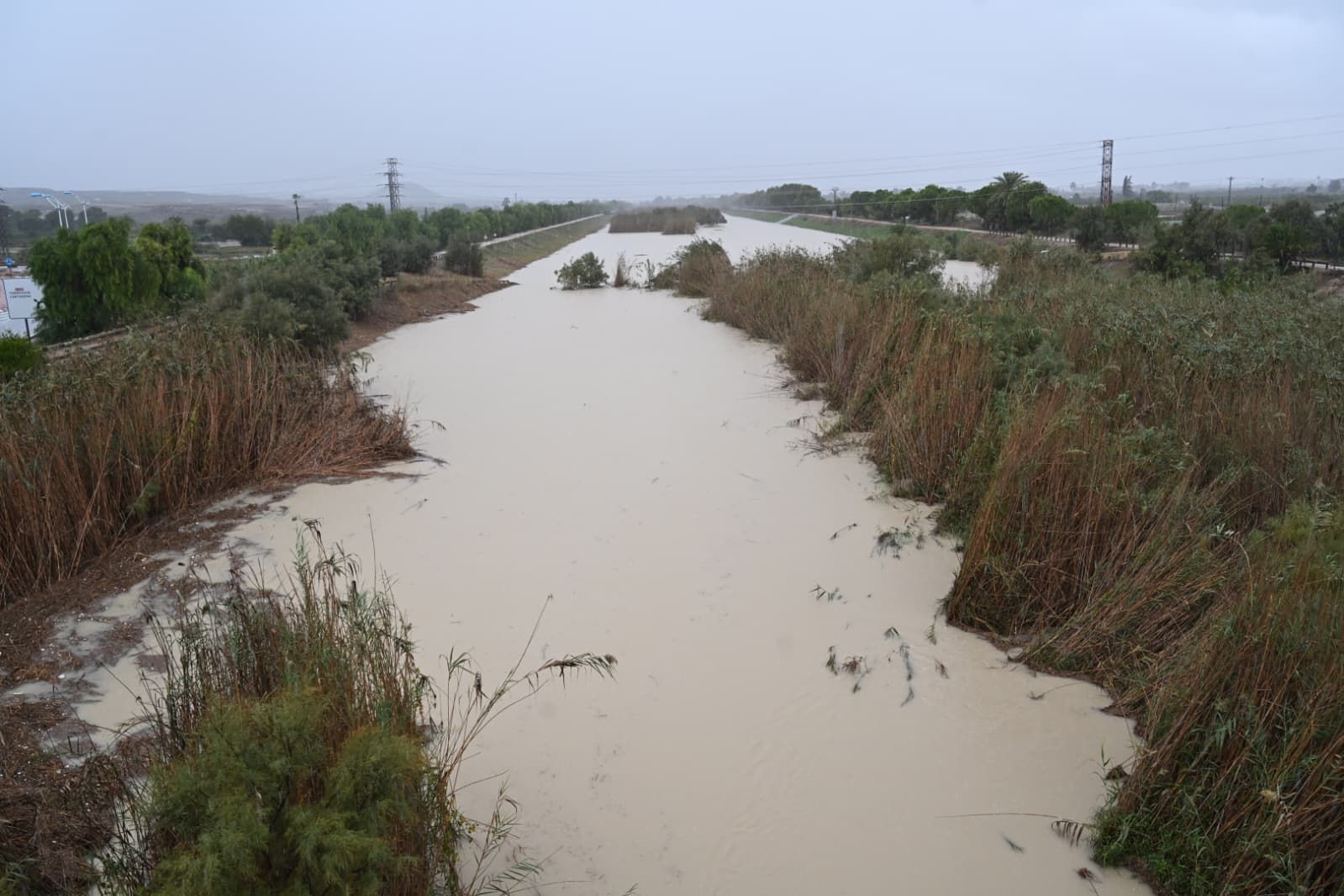 Así está el río Segura en Guardamar
