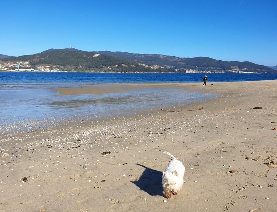 Semana soleada a la vista en Vigo