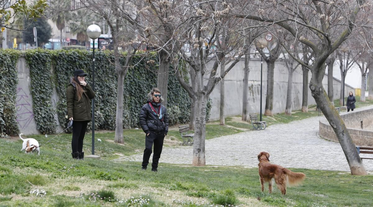 Los efectos de la alerta sanitaria por el coronavirus en Zaragoza