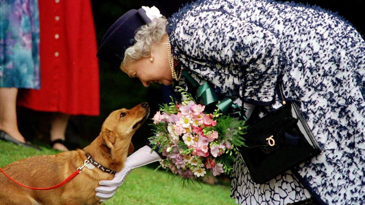 La reina Isabel II con uno de sus perro Corgi