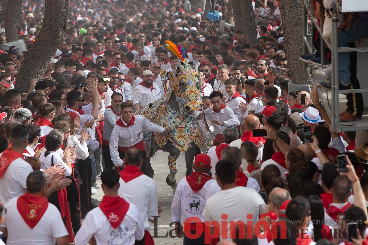 Así ha sido la carrera de los Caballos del Vino en Caravaca