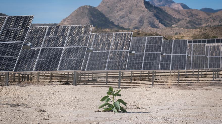 Las mareantes cifras de una megaplanta solar en Agost: más de 150 campos de fútbol y 82.000 placas