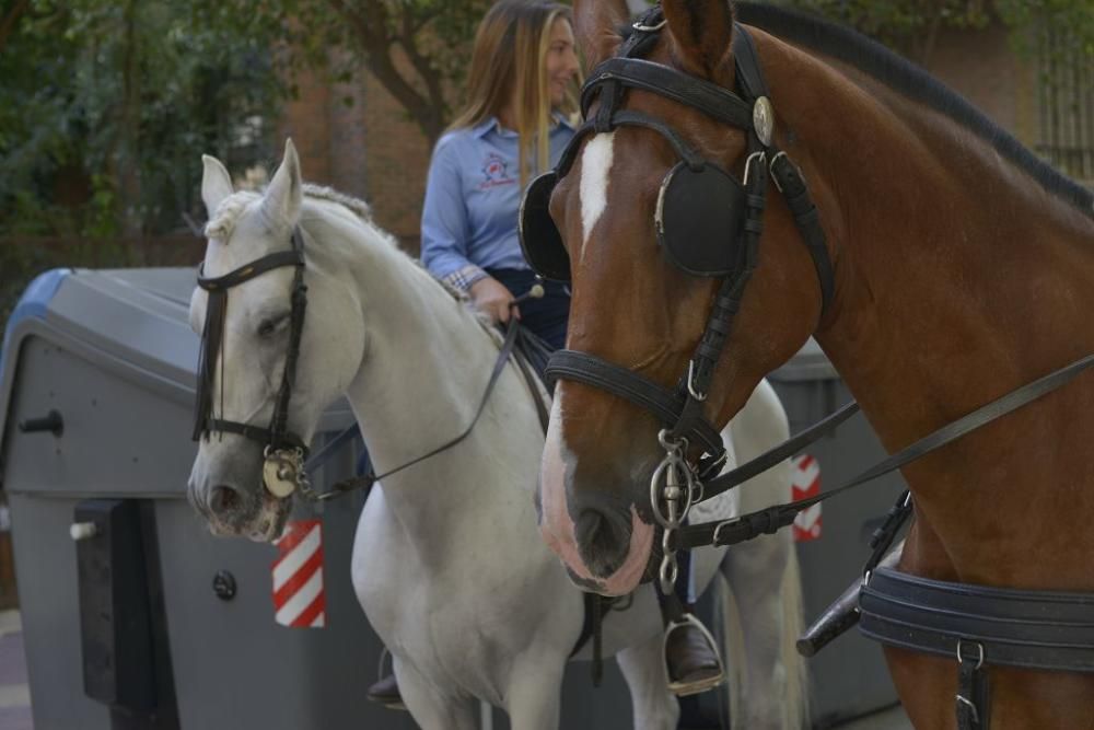 Día del caballo en la Feria de Murcia