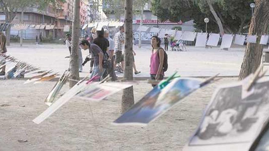 La plaza de Viriato acoge mañana un intercambio de fotografías de tema libre