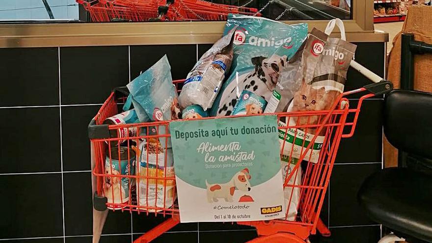 Recogida en favor de protectoras de animales en A Estrada