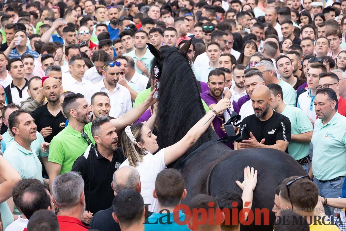 Así ha sido la entrega de premios del concurso morfológico de los Caballos del Vino de Caravaca