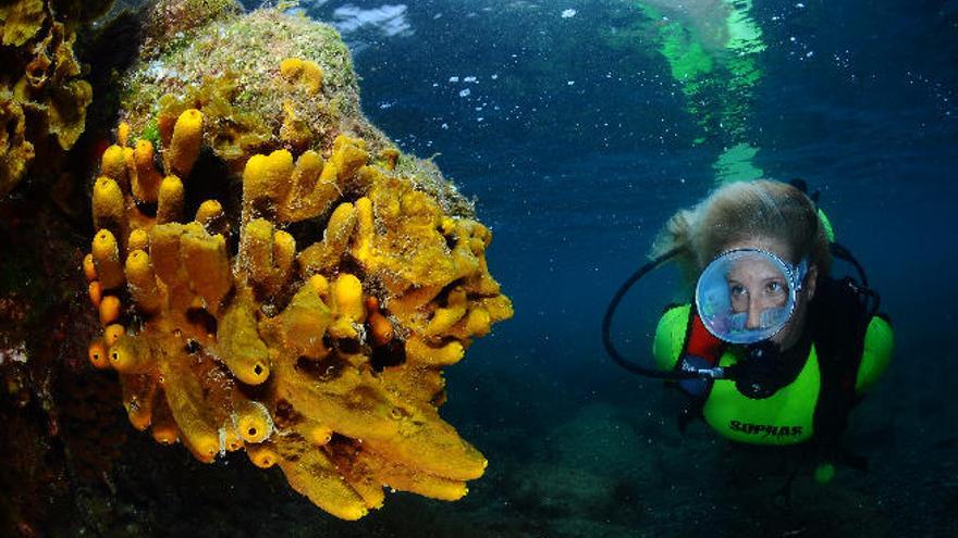 El Fotosub impulsa la capital como destino de turismo activo y de buceo