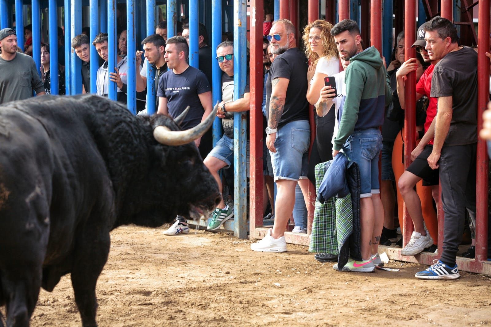 Las mejores imágenes de la jornada de toros del miércoles en Almassora