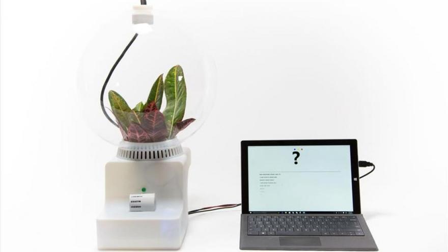 Microsoft Research crea un traductor de plantas