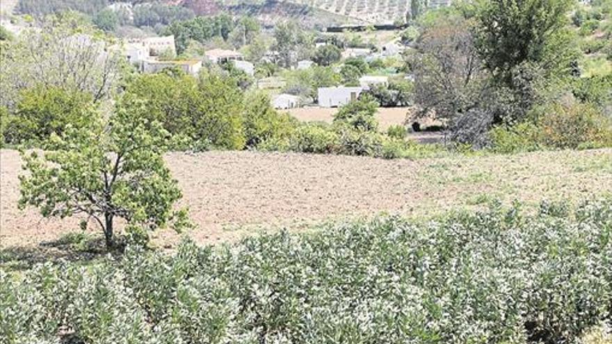 Tres proyectos separarán aguas fecales de las sobrantes usadas para el riego