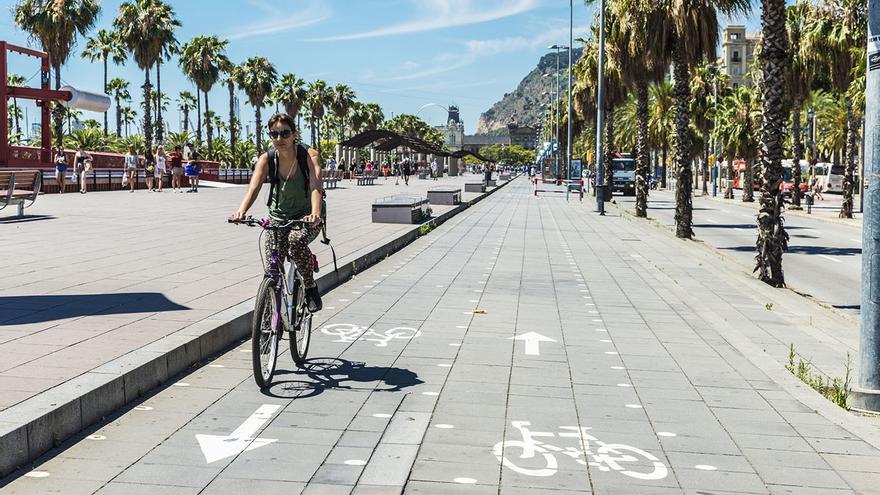 La DGT avisa de los peligros de montar en bici: muchos no lo hacen