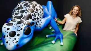 Susana Acle Olivo, directora de Biología, Veterinaria e Investigación en Bioparc Acuario de Gijón: "Gijón está hasta arriba, presta ver ese ambientazo"