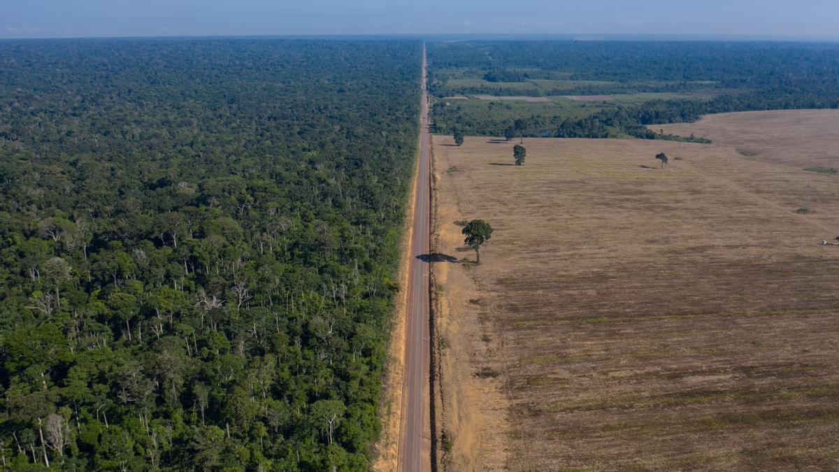 Una carretera avanza entre el Bosque Nacional de Tapajos –izquierda– y un campo de soja en Brasil.