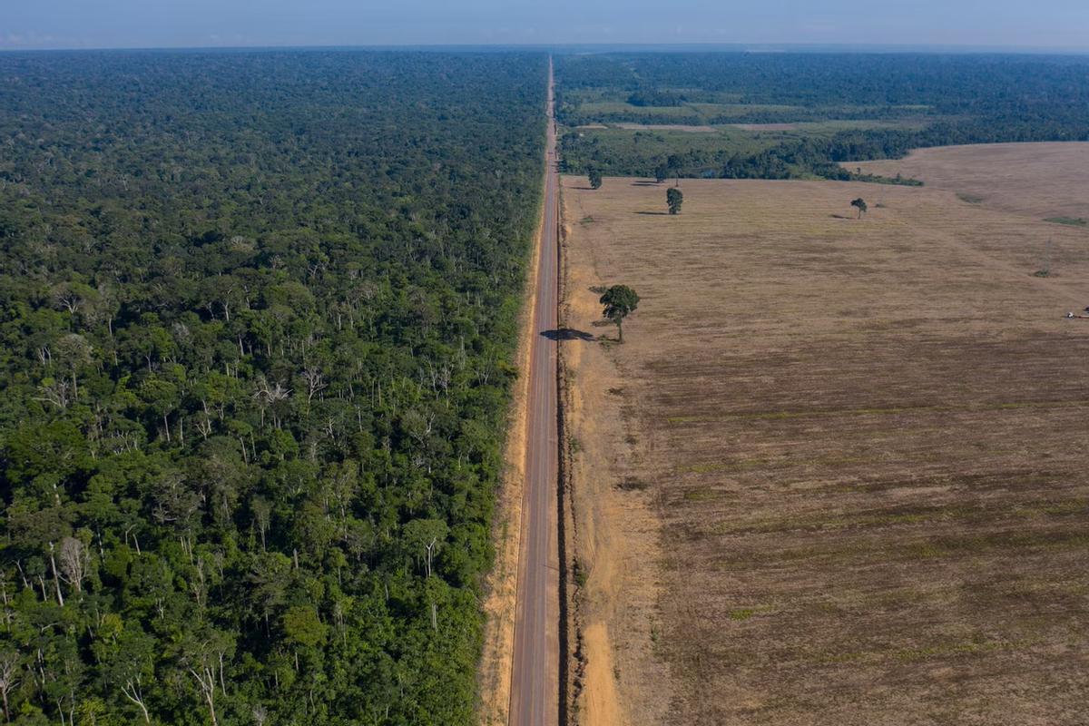 Una carretera avanza entre el Bosque Nacional de Tapajos –izquierda– y un campo de soja en Brasil.