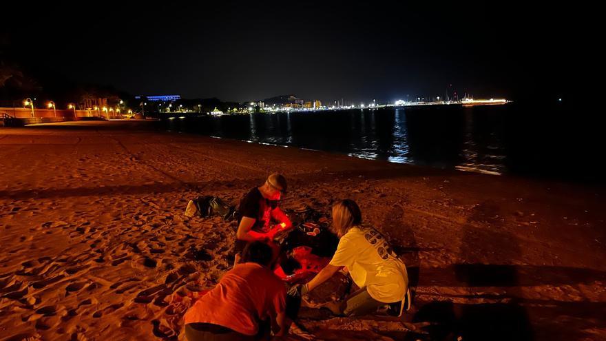 Una tortuga marina deposita 80 huevos en una playa de Dénia