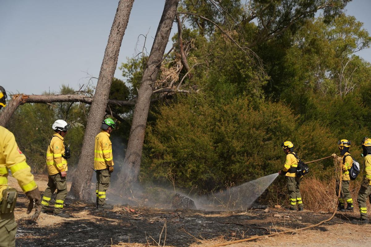 Imagen del incendio en la zona del Cerro del Carambolo en Camas (Sevilla).