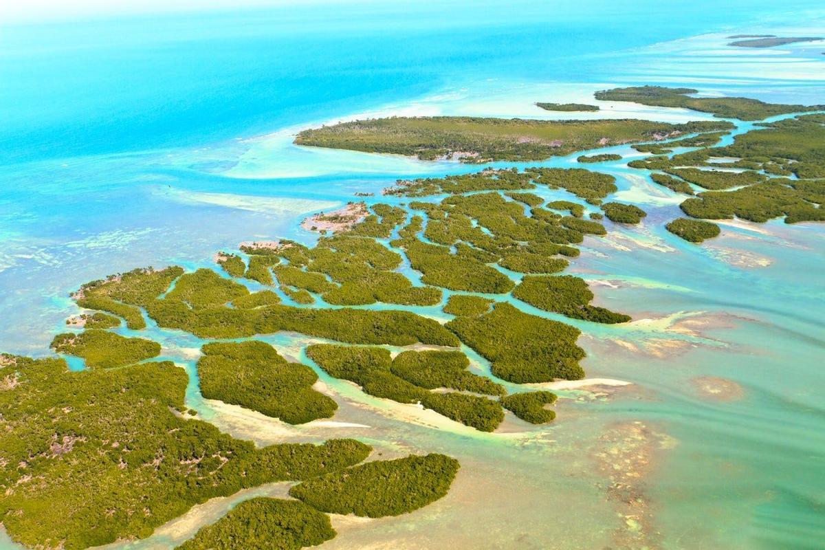 Cayos de FLorida