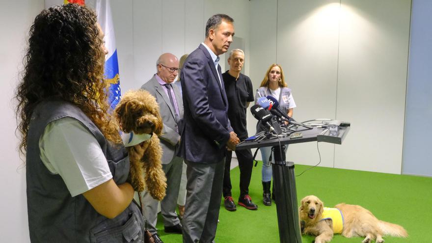 El Poder Judicial confirma la continuidad del primer Juzgado de Violencia contra la Infancia