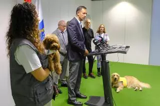 El Poder Judicial confirma la continuidad del primer Juzgado de Violencia contra la Infancia