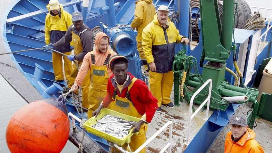 Una descarga de anchoa en un puerto del Cantábrico. // Efe