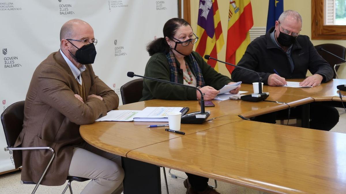 Fernando Fernández, Mae de la Concha y Mateu Morro, este viernes.