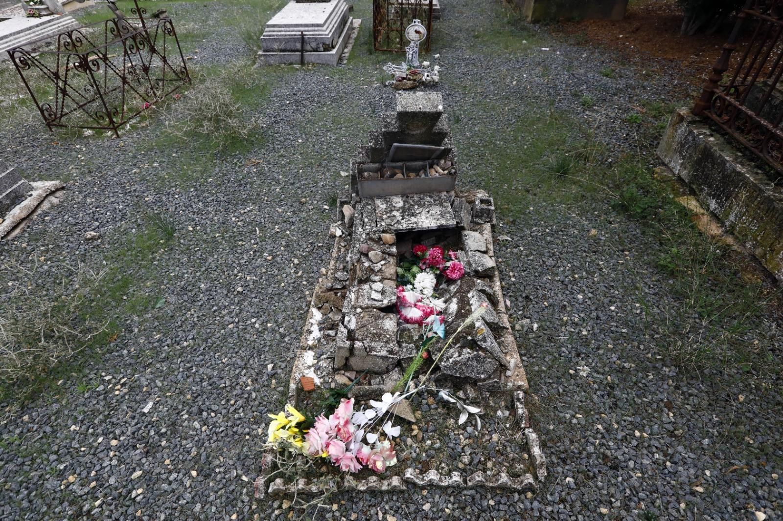 En imágenes | El cementerio de Zaragoza, un museo al aire libre que se engalana para el Día de Todos los Santos