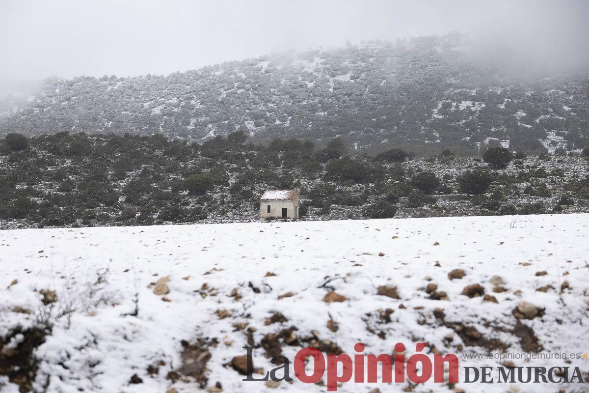 Así se está viviendo la última nevada en las proximidades de Revolcadores en Moratalla Así se está viviendo la última nevada en las proximidades de Revolcadores en Moratalla
