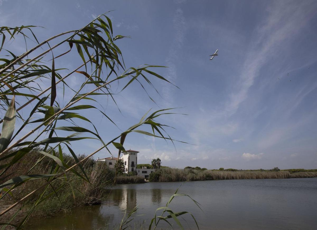 L’ACA comença a restaurar  les llacunes del delta del Llobregat