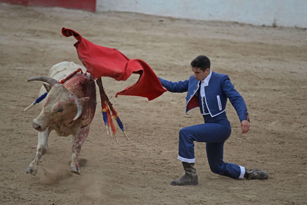 Toros en Alcúdia