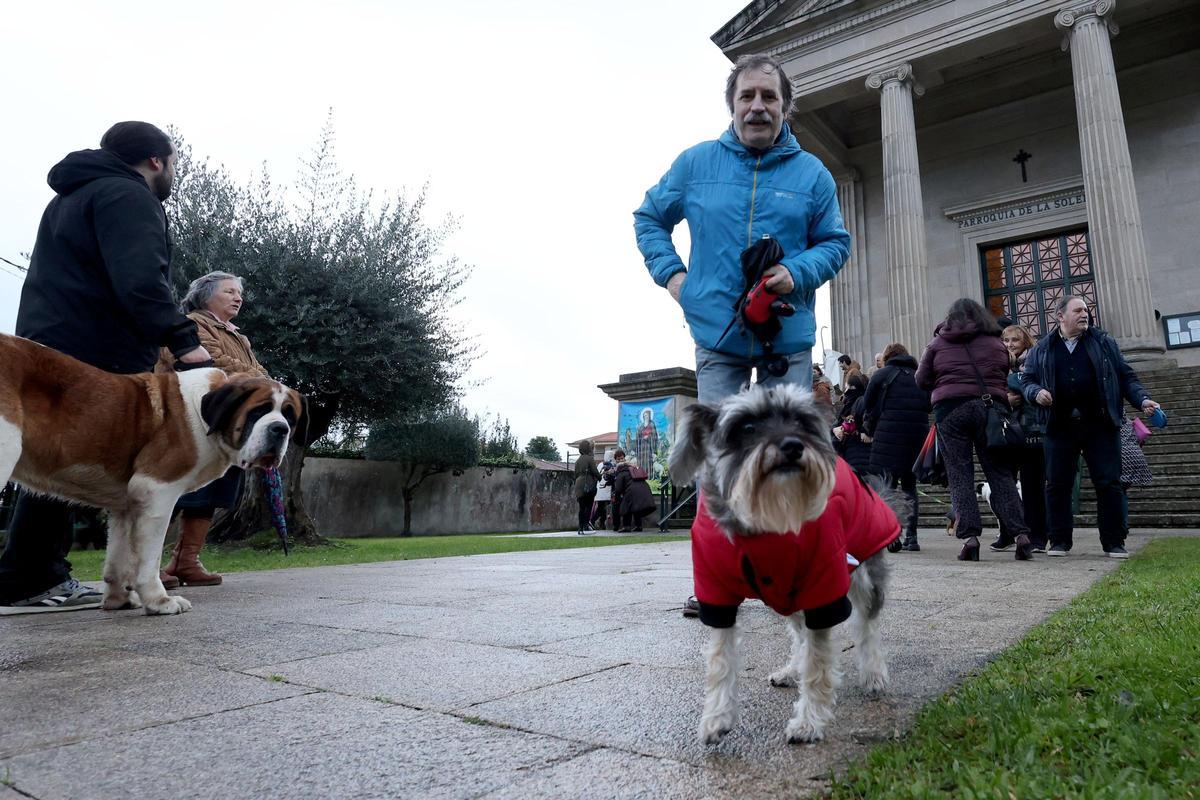 El manto de San Antón bien merece un chaparrón El manto de San Antón bien merece un chaparrón