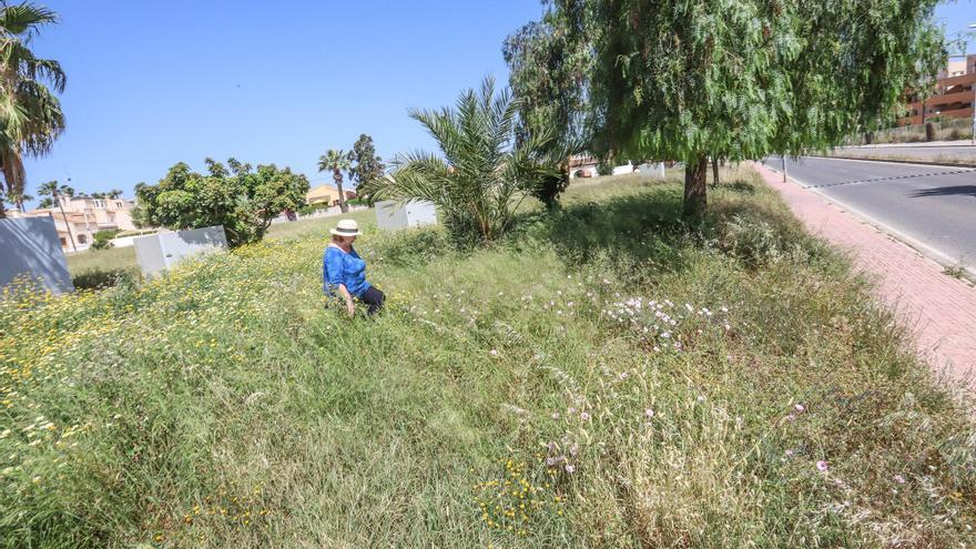 La gestión de las zonas verdes de Orihuela Costa costará a Ildo 4,5 millones los próximos tres años