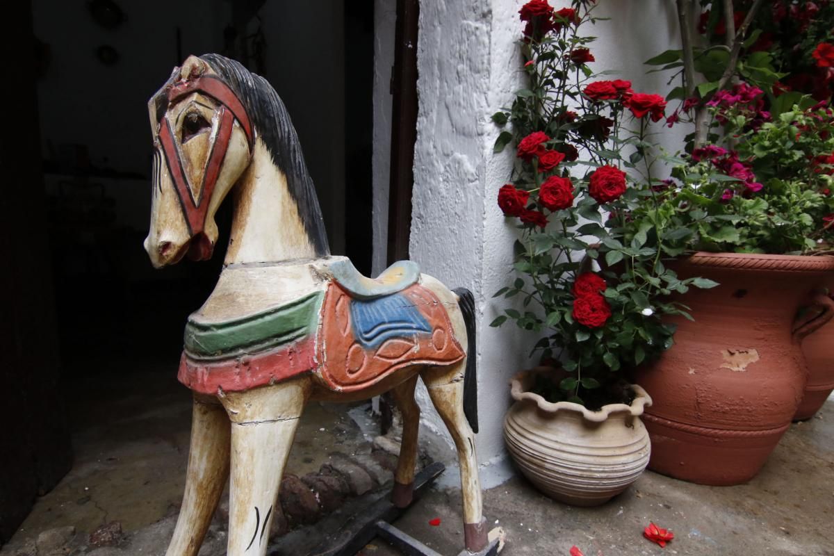 Paseando por el Alcázar Viejo