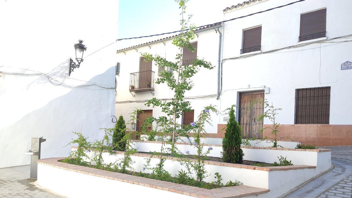 El nuevo espacio ajardinado de Baena.