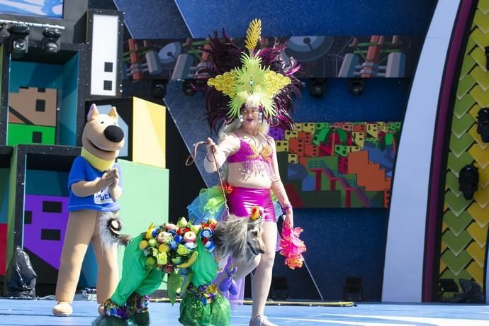 24.02.19. Las Palmas de Gran Canaria. Carnaval 2019. Concurso Carnaval Canino 2019. Monica Svenson, presenta a Zafiro, con la fantasía "Tuttifrutti". Foto Quique Curbelo