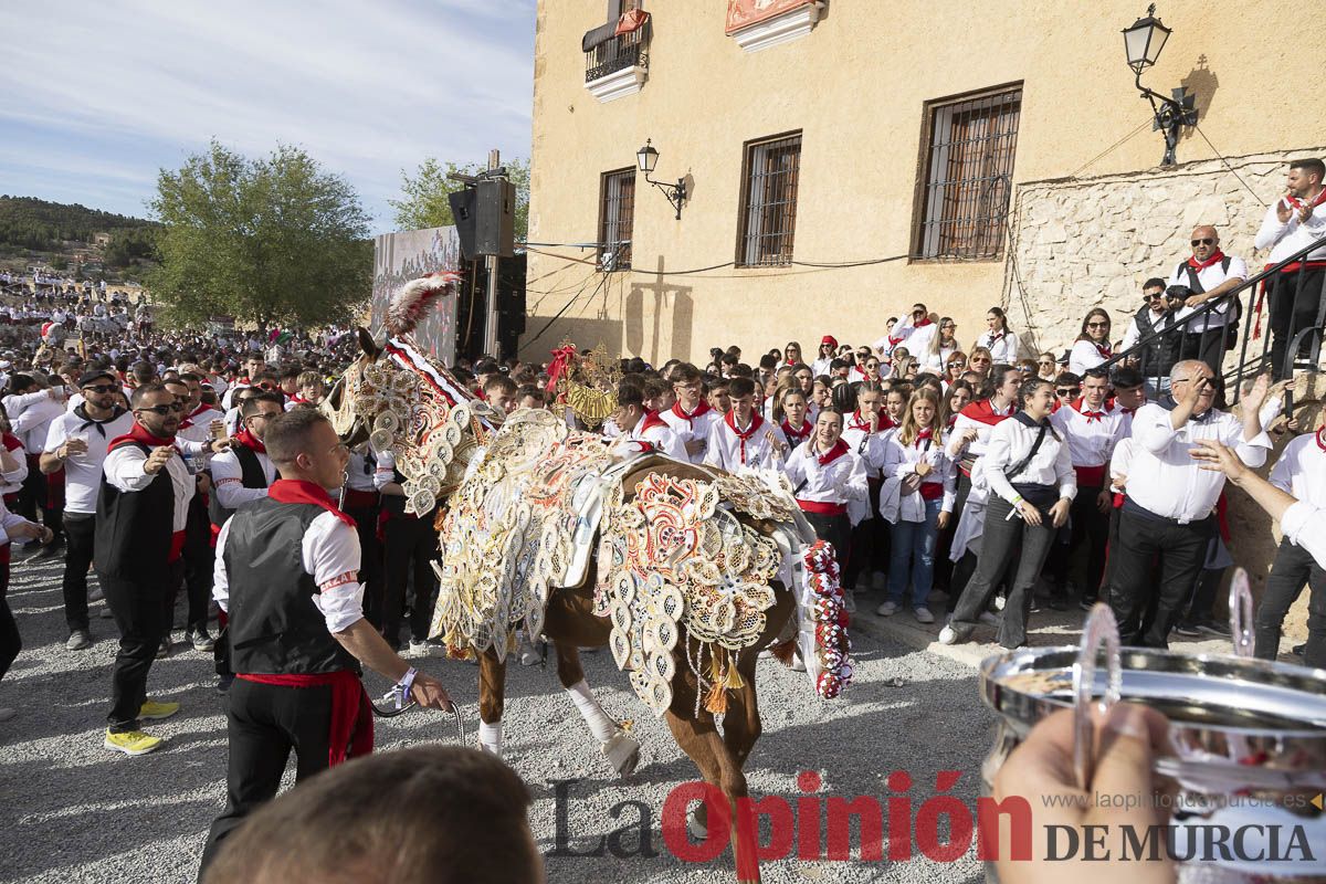 Caballos del Vino de Caravaca: entrega de premios