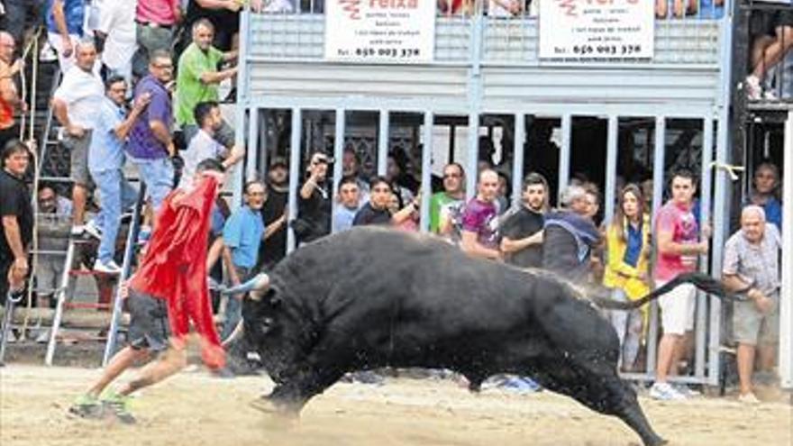 Burriana soltará 16 toros en las fiestas de la Misericòrdia