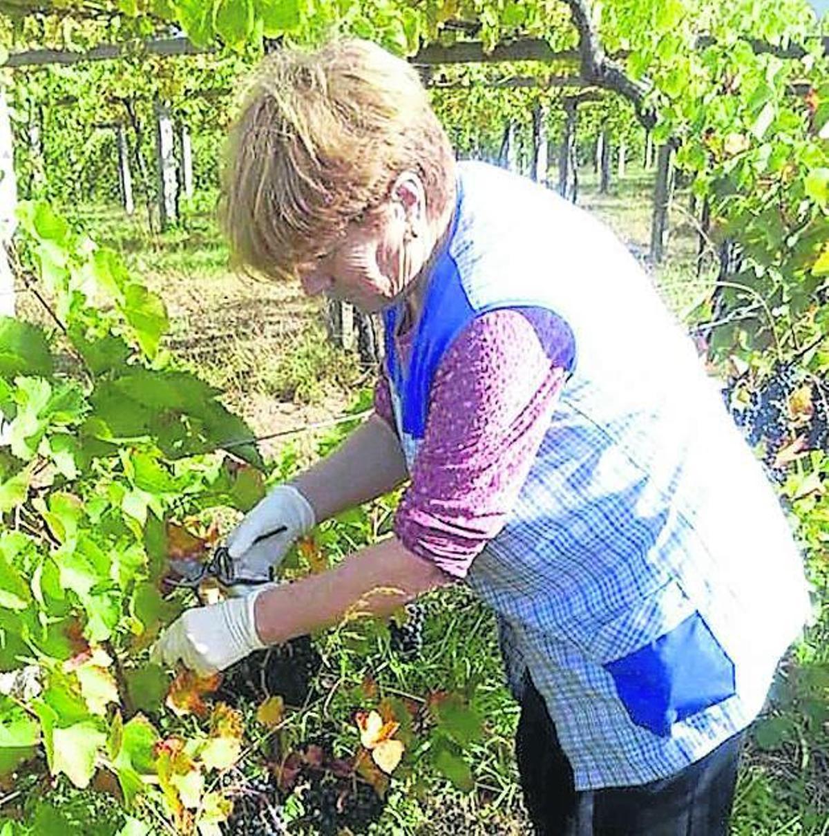 Mª Dolores González Padín (1949, Vilariño).