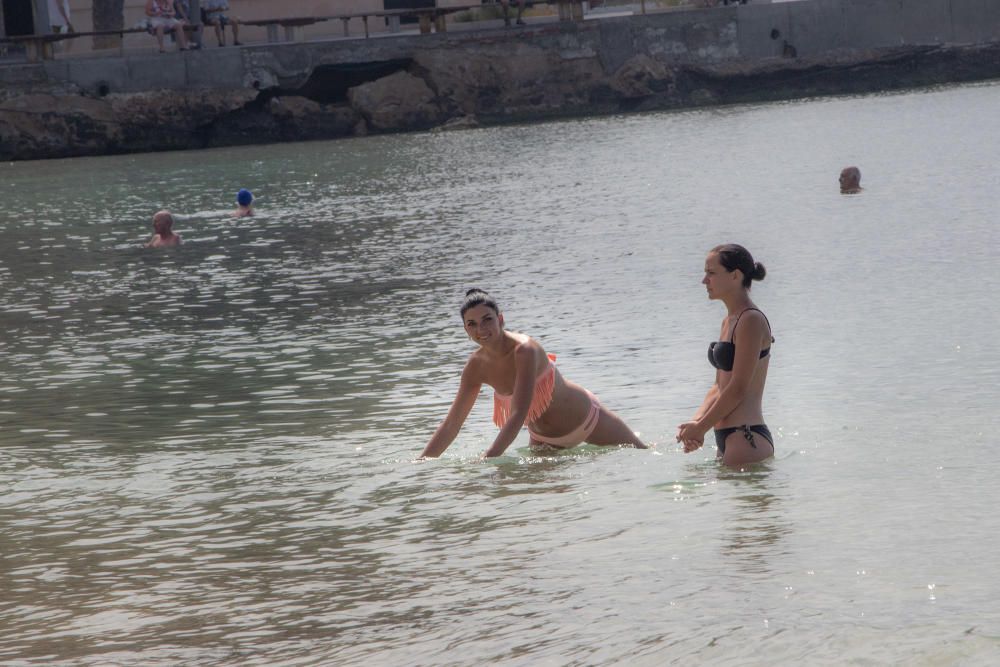 Primer día de baño autorizado en las playas de Torrevieja con arena parcelada y controles de acceso