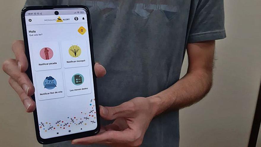 «Mosquito Alert» és la nova app per controlar el mosquit