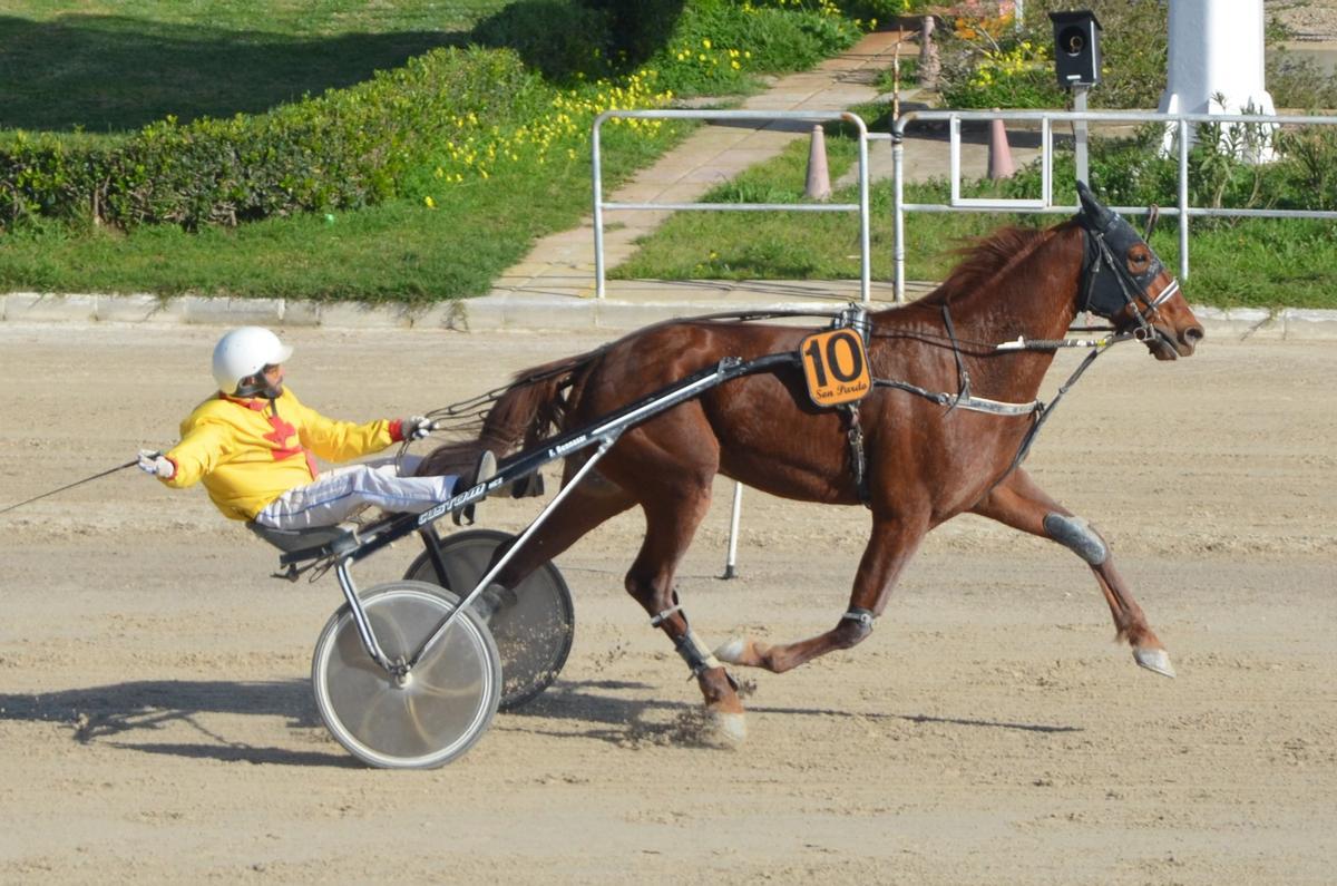 Nico de Font, con Xisco Bennasar, en su triunfo en el ‘Gengis Khan’.