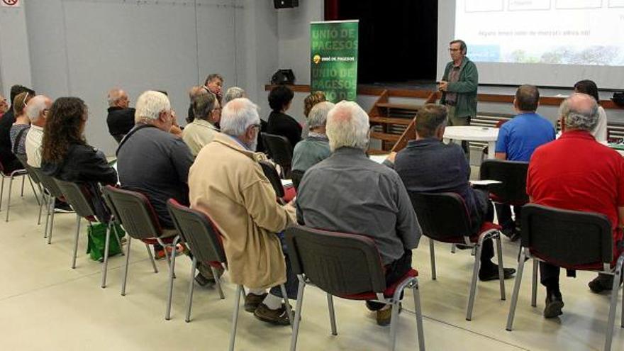 Propietaris i experts forestals reunits en la jornada celebrada ahir a Cabrianes