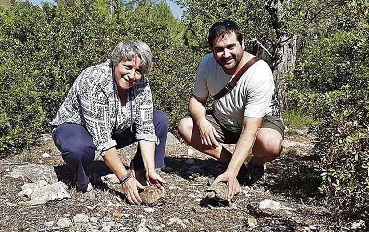 Suelta de tortugas en la finca pública de Galatzó