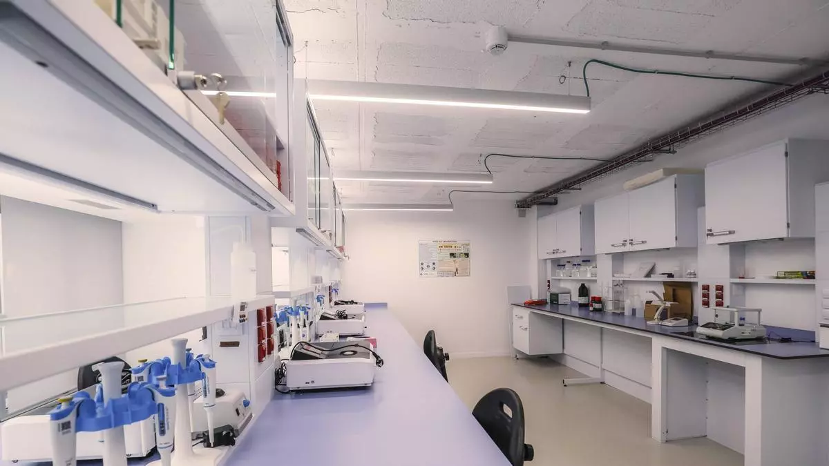 El mallorquín Lluís Morey investiga la proteína que une el cáncer de mama y los trastornos del neurodesarrollo