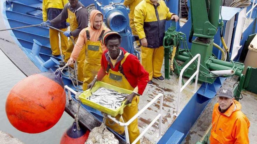 Varios tripulantes de un cerquero descargan cajas de anchoa en un puerto del Cantábrico.